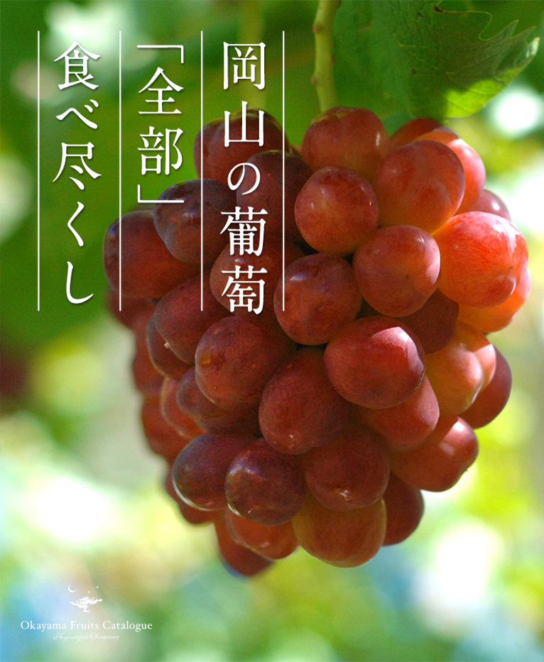 岡山の葡萄の食べ尽くしコース