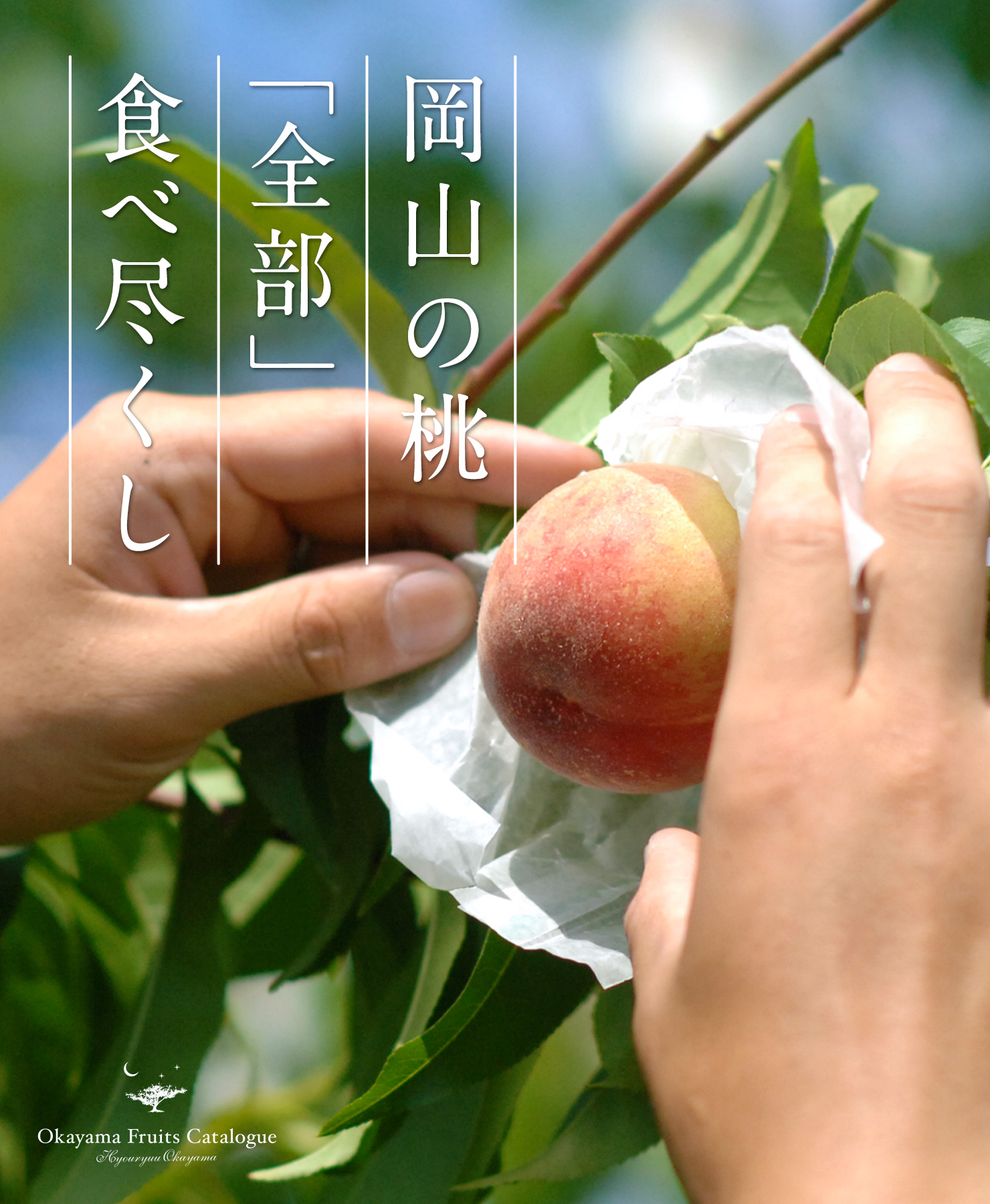 岡山の桃
